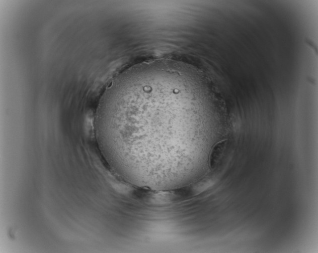 X0000103480527200809261930