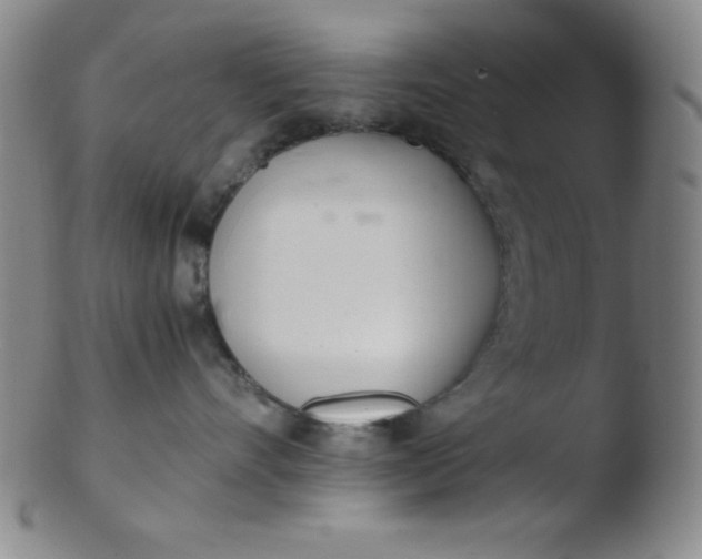 X0000103480528200809261930