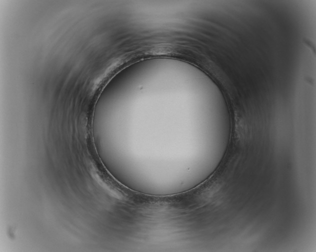 X0000103480530200809261929