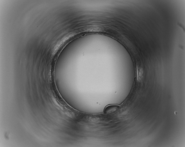 X0000103480531200809261929