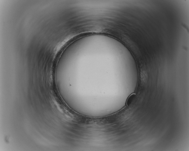 X0000103480532200809261929