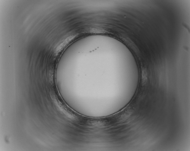 X0000103480533200809261929