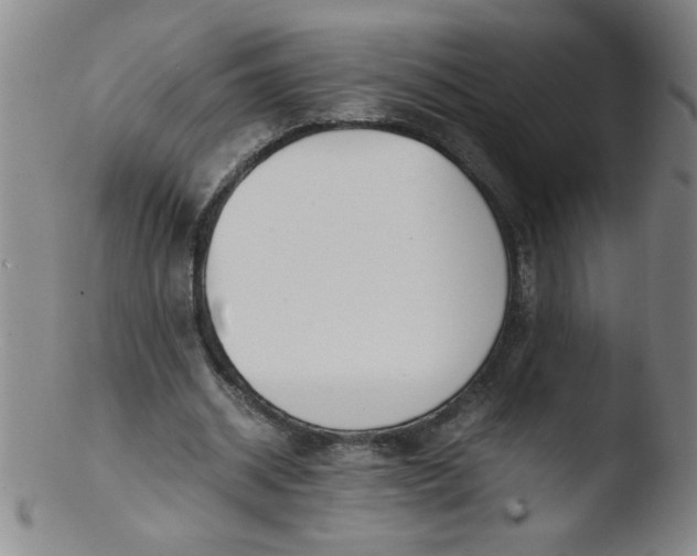 X0000103480534200809261929