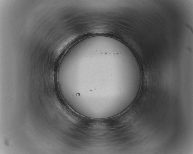 X0000103480535200809261929