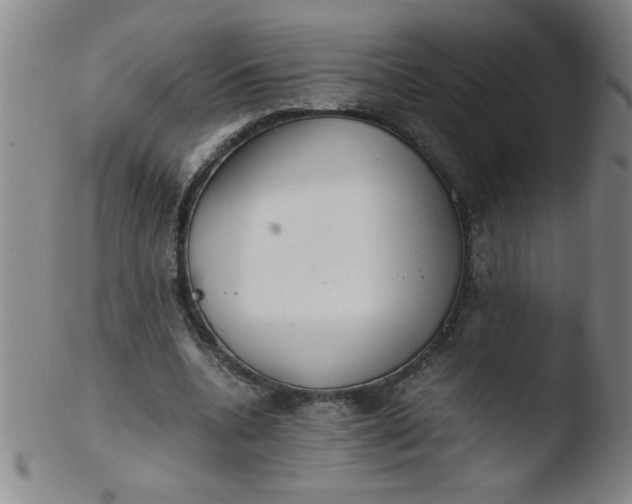 X0000103480536200809261929