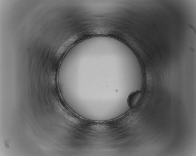 X0000103480537200809261929