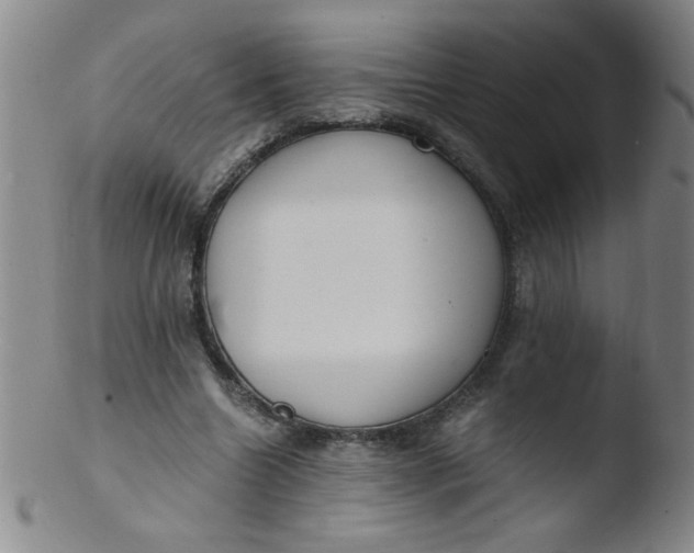 X0000103480538200809261929