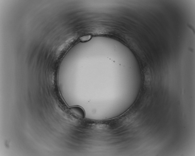 X0000103480539200809261929