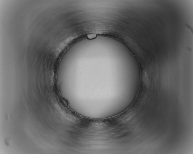 X0000103480540200809261929