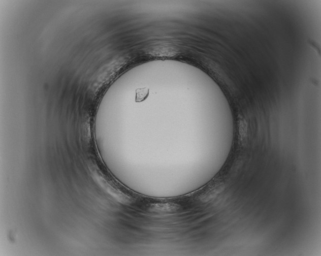 X0000103480541200809261929