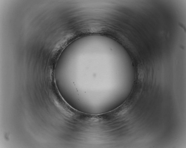 X0000103480542200809261929