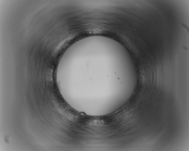 X0000103480543200809261929