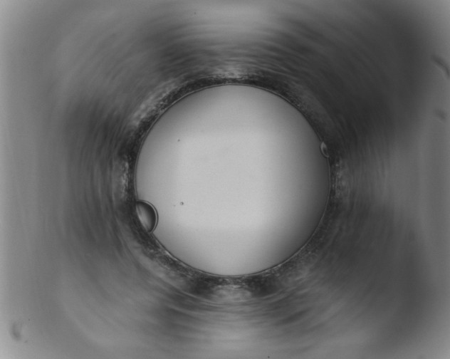 X0000103480544200809261929