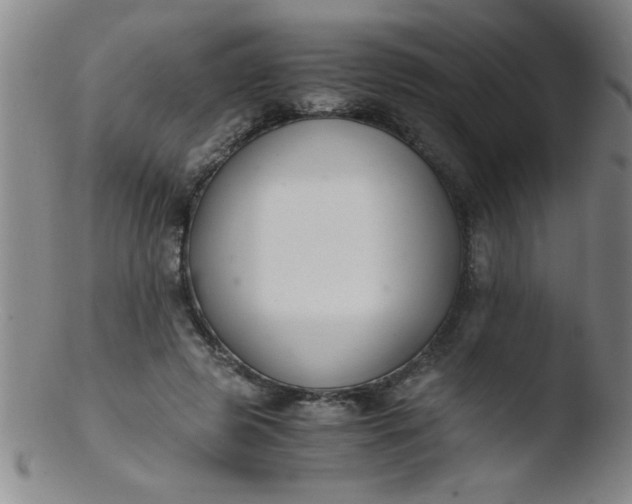 X0000103480545200809261929