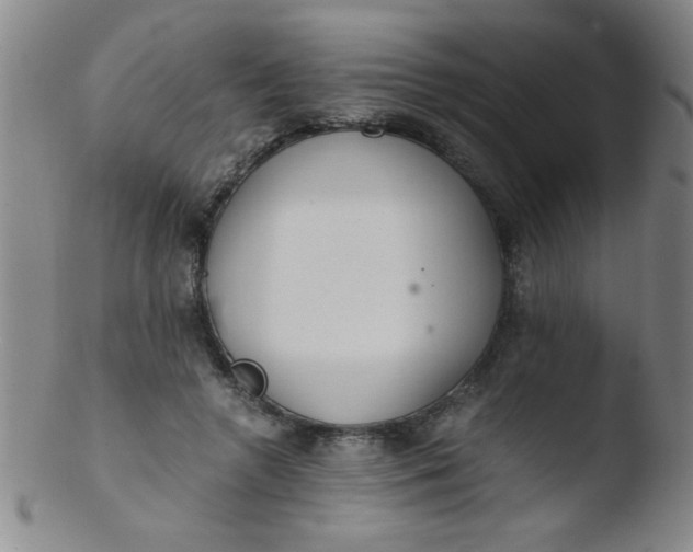 X0000103480546200809261929