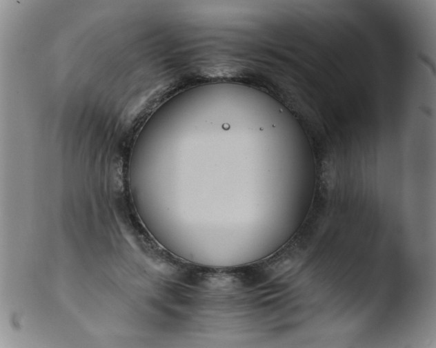 X0000103480547200809261929