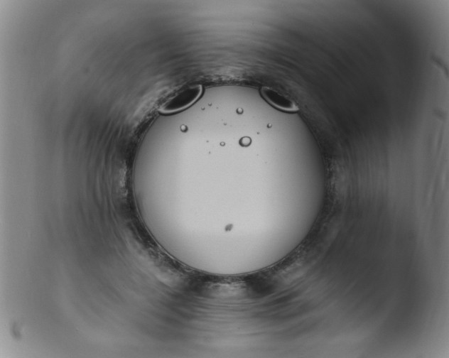 X0000103480548200809261929