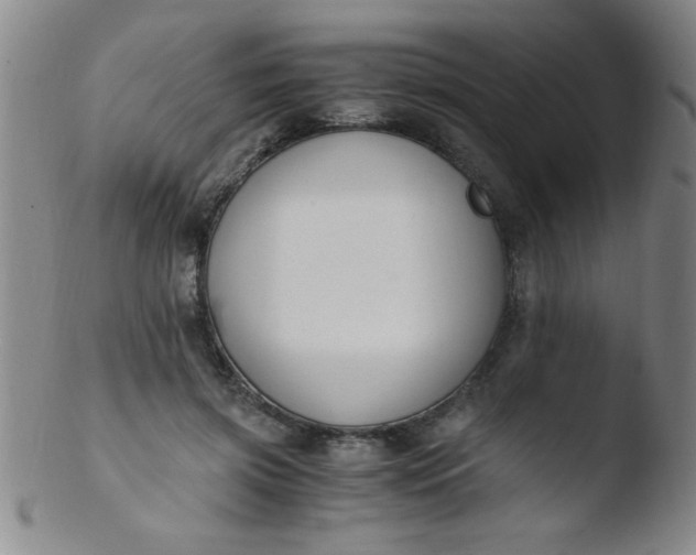 X0000103480549200809261929