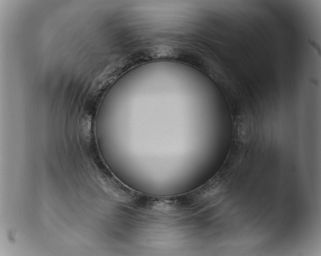 X0000103480550200809261929