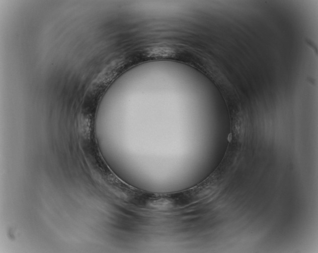 X0000103480551200809261929