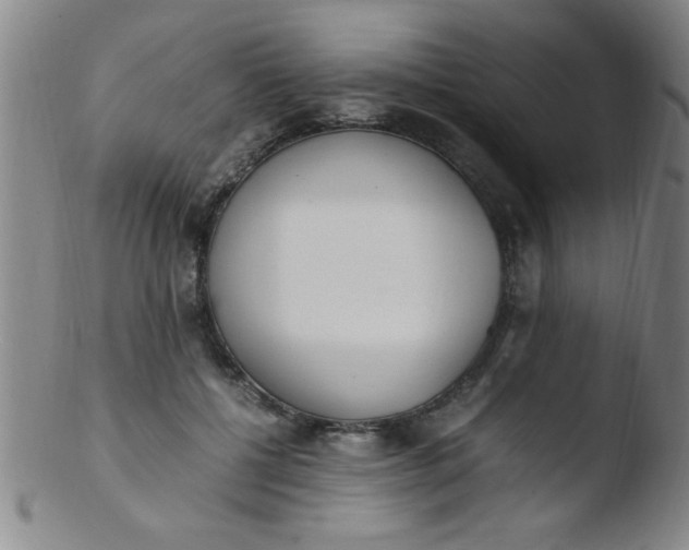 X0000103480552200809261929