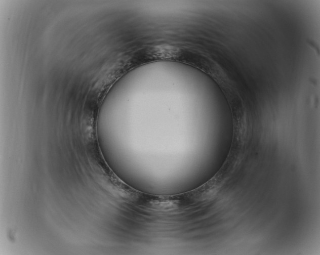 X0000103480553200809261929