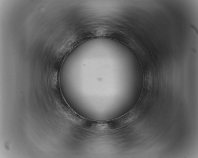 X0000103480554200809261929