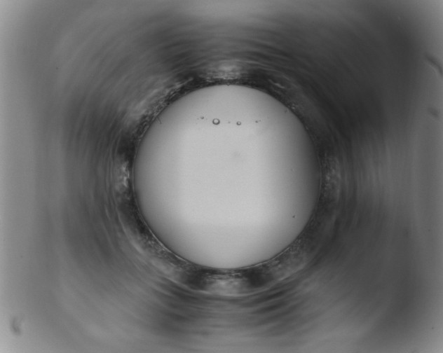 X0000103480555200809261930