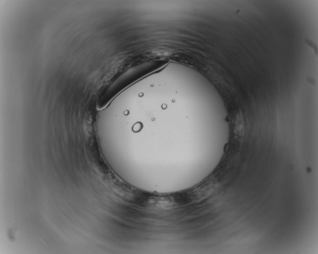 X0000103480559200809261930