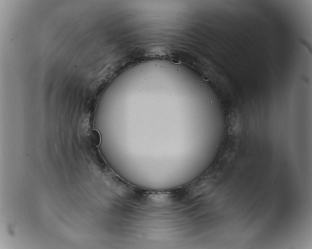 X0000103480560200809261930