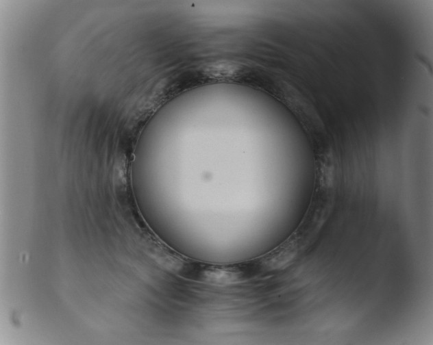 X0000103480561200809261930