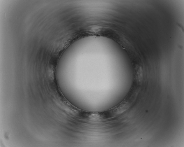 X0000103480562200809261930