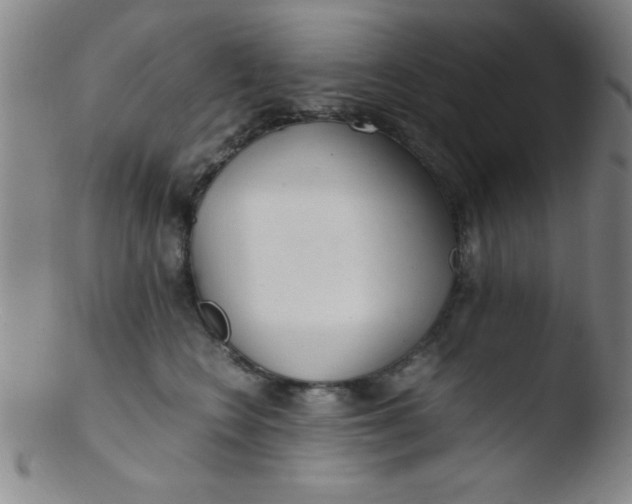 X0000103480566200809261930