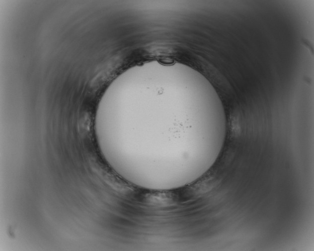 X0000103480567200809261930