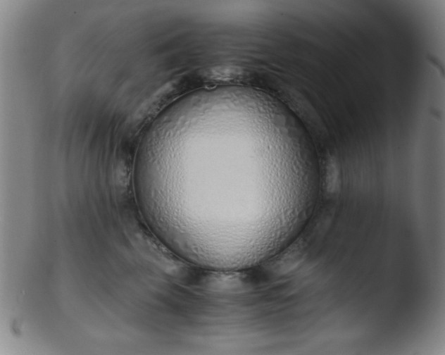 X0000103480569200809261930