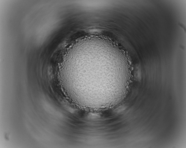 X0000103480573200809261930