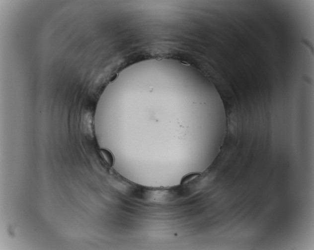 X0000103480575200809261930