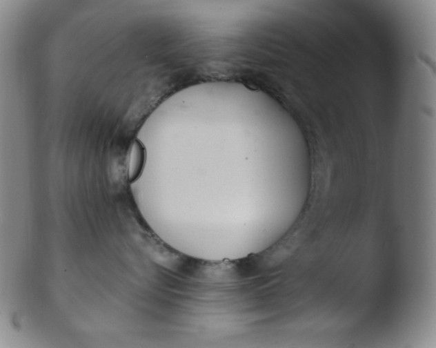 X0000103480576200809261930