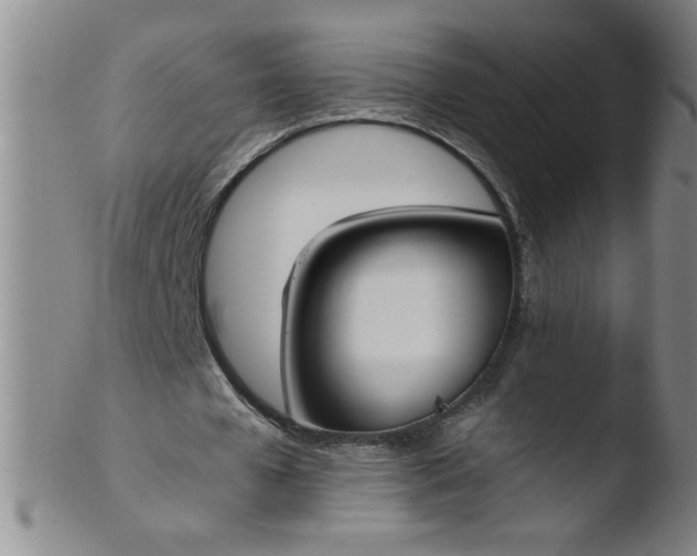 X0000103480577200809261929