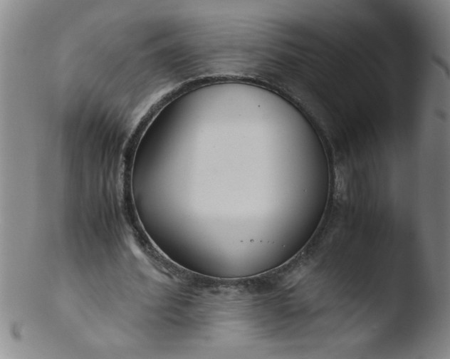 X0000103480580200809261929