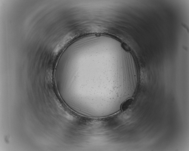 X0000103480581200809261929