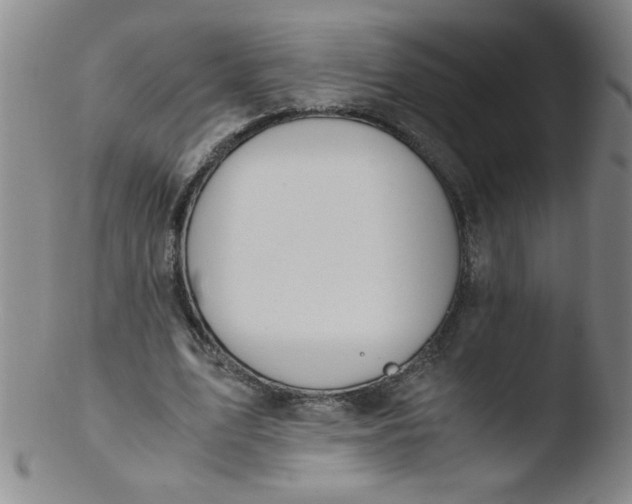 X0000103480583200809261929