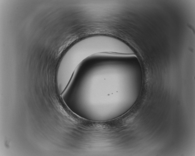 X0000103480585200809261929