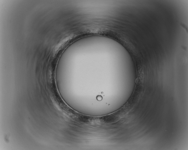 X0000103480587200809261929