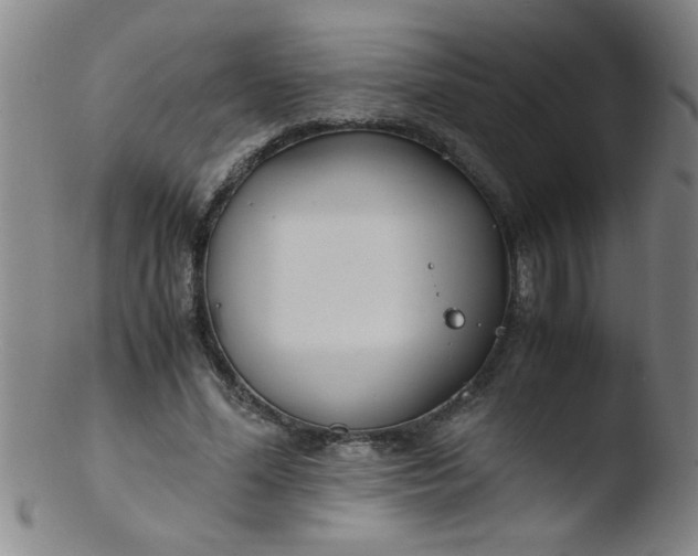 X0000103480588200809261929