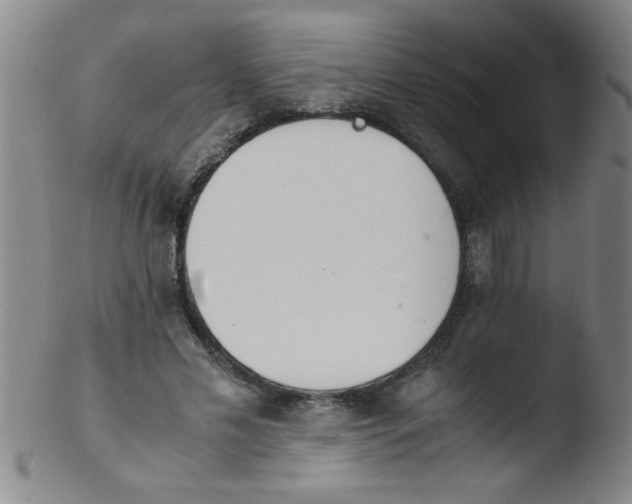 X0000103480589200809261929