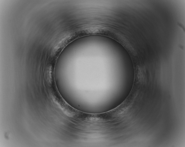 X0000103480590200809261929