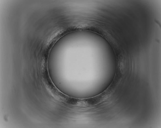 X0000103480591200809261929