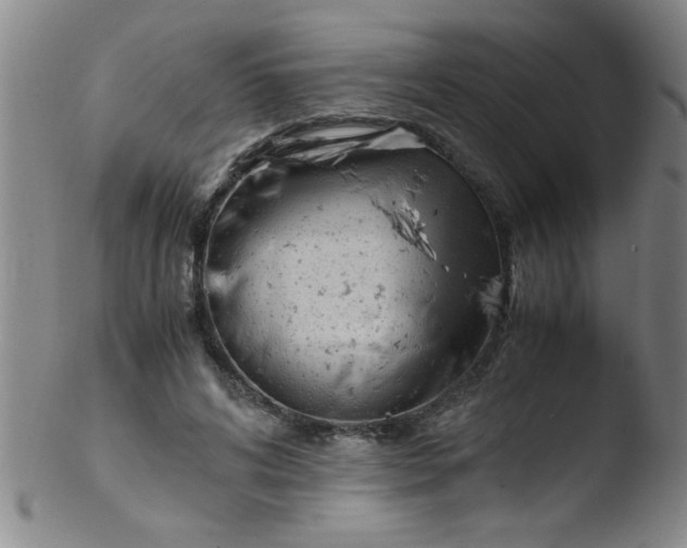 X0000103480592200809261929