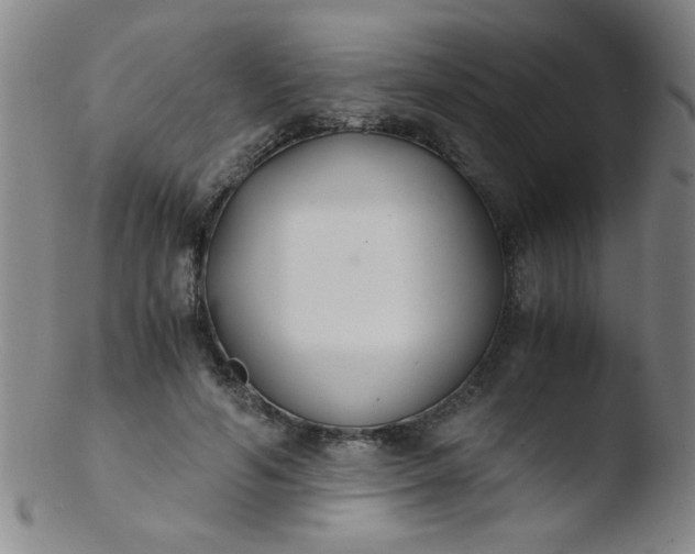 X0000103480594200809261929